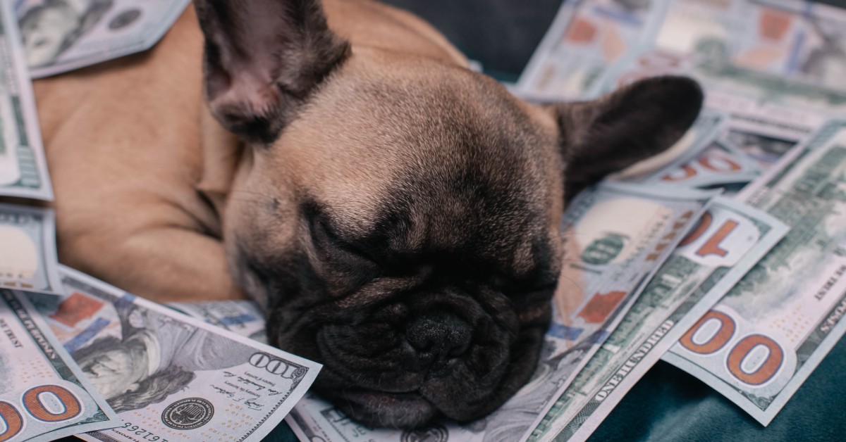 How Much Does It Really Cost to Own a Dog?